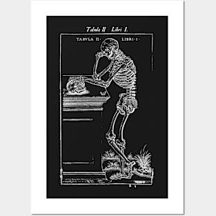 Vesalius Brooding Skeleton Posters and Art